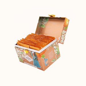 Tisane des druides bio*