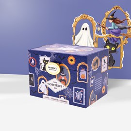 Tisane des sorcières bio*