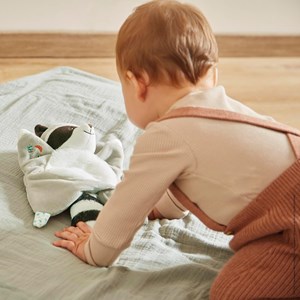 Doudou raton laveur gaston