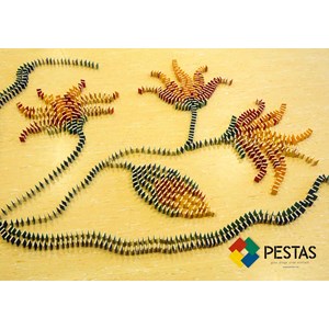 Pestas - 200 pièces