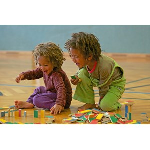 Pestas - 500 pièces