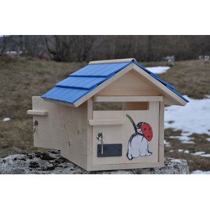 Boite aux lettres ladybug double azur