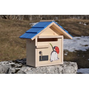 Boite aux lettres ladybug courte azur
