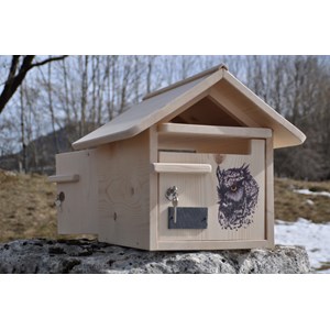 Boite aux lettres hibou double