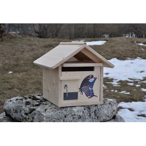 Boite aux lettres papillon