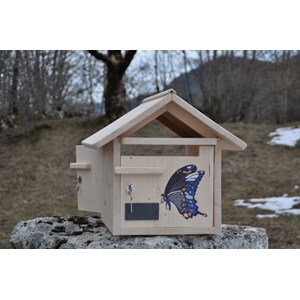 Boite aux lettres papillon double azur