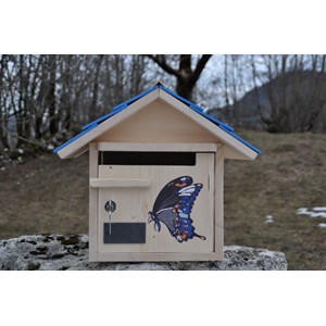 Boite aux lettres papillon azur