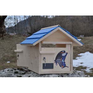 Boite aux lettres papillon double azur