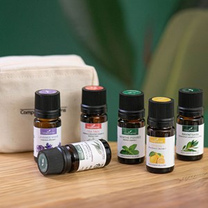 Indispensables pour débuter