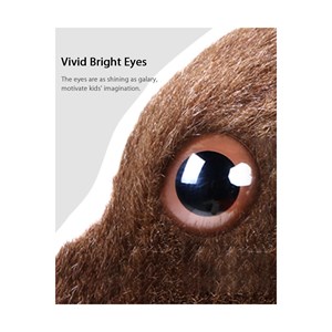 Ponycycle ponycycle blanc