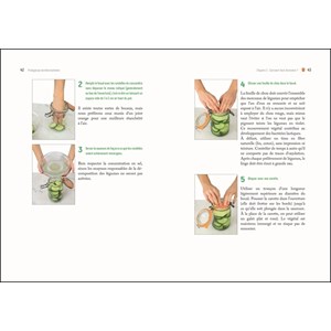 Prodigieuse lactofermentation