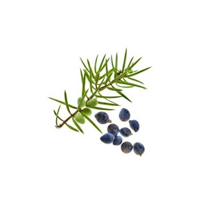 Cade (juniperus oxycedrus) - huile essentielle bio - 5ml garantie chromacert® -