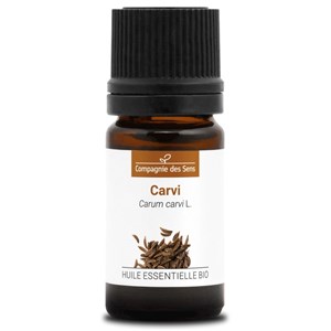 Carvi (carum carvi) - huile essentielle