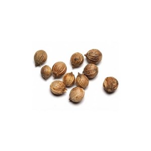 Coriandre graines - huile essentielle bio - 5ml garantie chromacert® - chémotypé