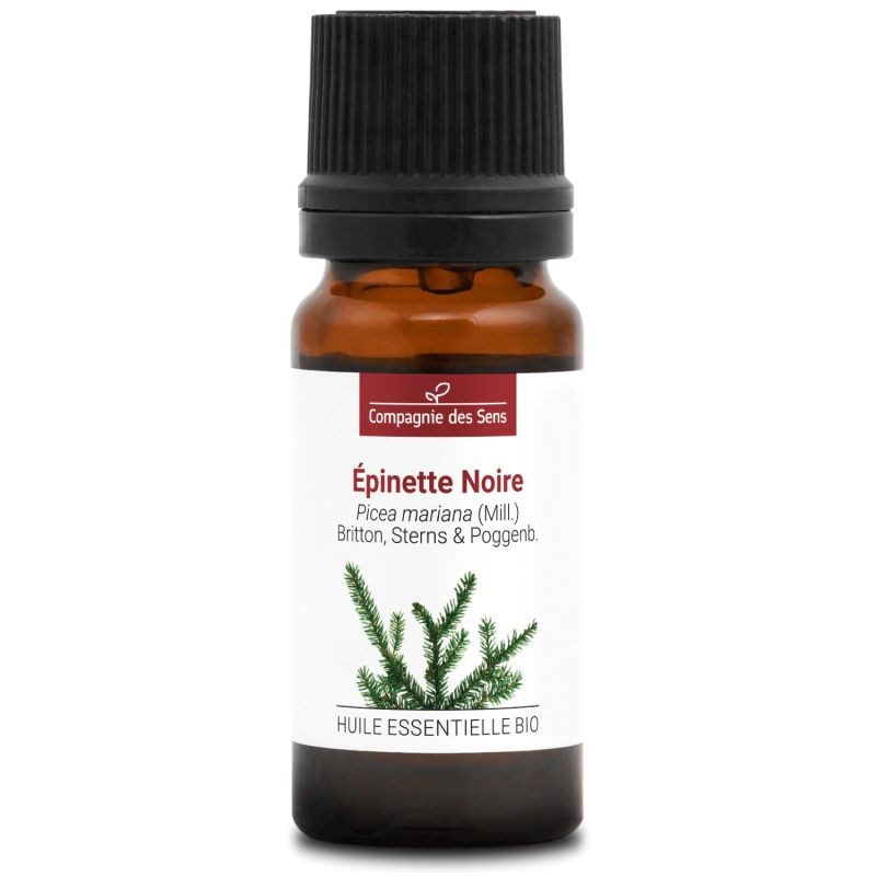 Épinette noire (picea mariana) - huile essentielle bio - 10ml garantie chromacer