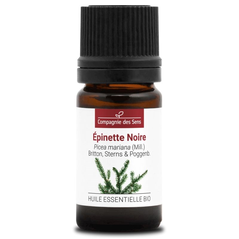 Épinette noire (picea mariana) - huile essentielle bio - 5ml garantie chromacert
