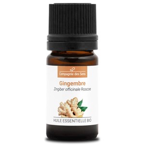 Gingembre (zingiber officinale) - huile