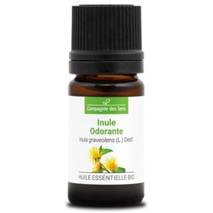 Inule odorante - huile essentielle bio -