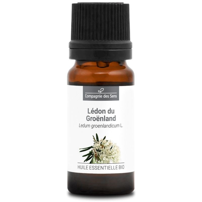 Lédon du groenland - huile essentielle bio - 10ml garantie chromacert® - chémoty