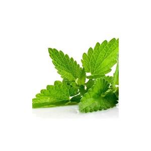 Mélisse (melissa officinalis) - huile essentielle bio - 5ml garantie chromacert®