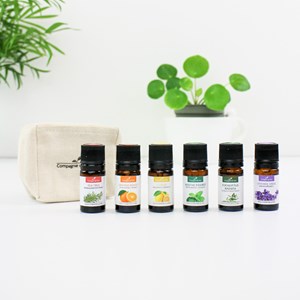 Indispensables ménage naturel