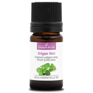 Origan vert (origanum vulgare) - huile e