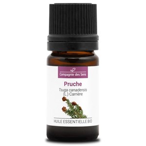Pruche (tsuga canadensis) - huile essent