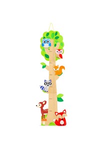 Toise animaux de la forêt