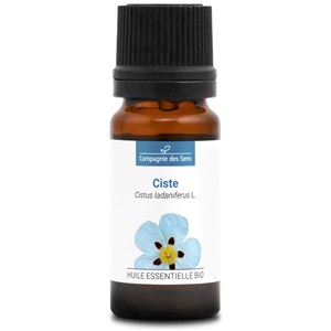Ciste (cistus ladaniferus) - huile essen
