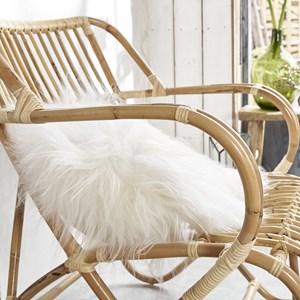 Fauteuil en rotin cosy