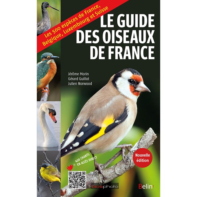 Guide Des Oiseaux De France | Nature & Découvertes