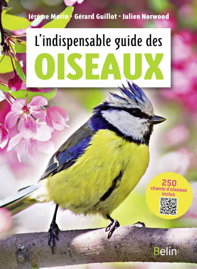 Votre guide pour la sauvegarde des oiseaux du Canada - Contribuez