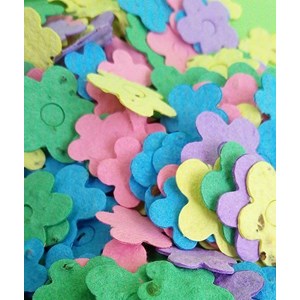 Florettis à planter fleurs pastels