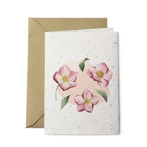 Carte à planter 2 volets coquelicot