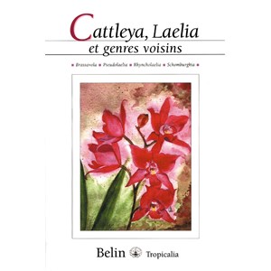 Cattleya  laelia et genres voisins