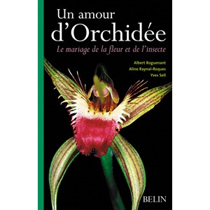 Un amour d'orchidée