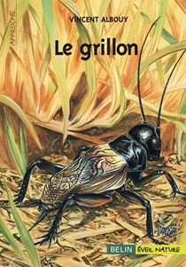 Le grillon