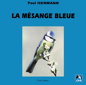 La mésange bleue