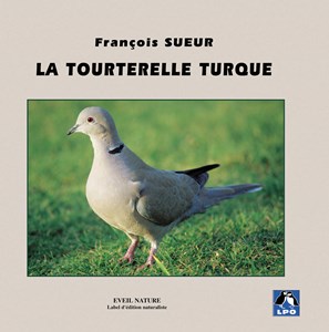 La tourterelle turque