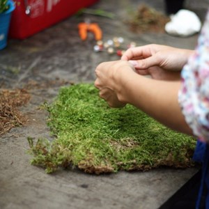 Fabriquez votre kokedama à paris
