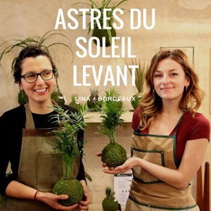 Créez un kokedama à bordeaux