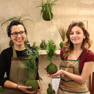 Créez un kokedama à bordeaux