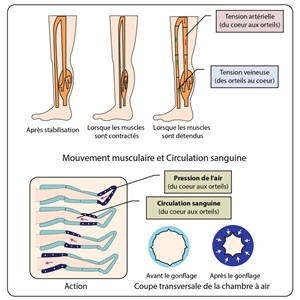 Appareil pressothérapie Lady Press4 