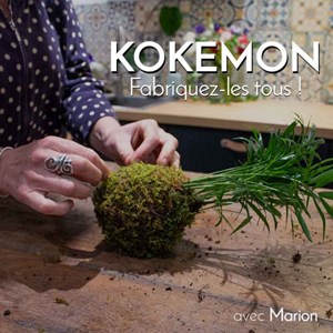 Créez votre kokedama à lyon