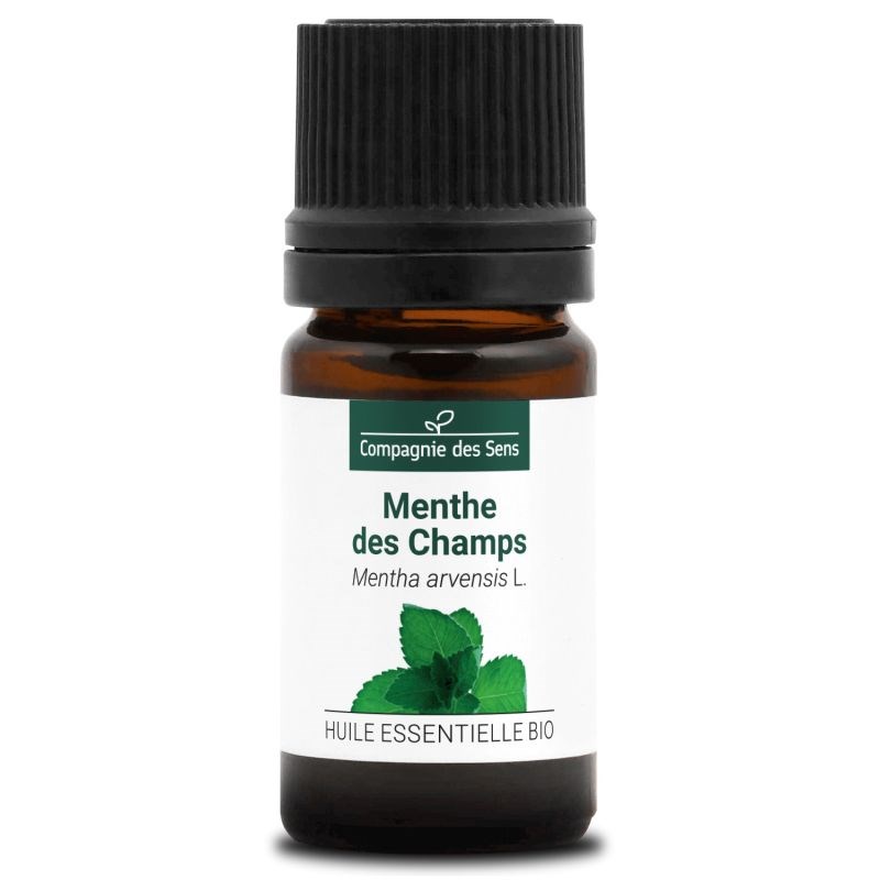 Menthe des champs huile essentielle bio