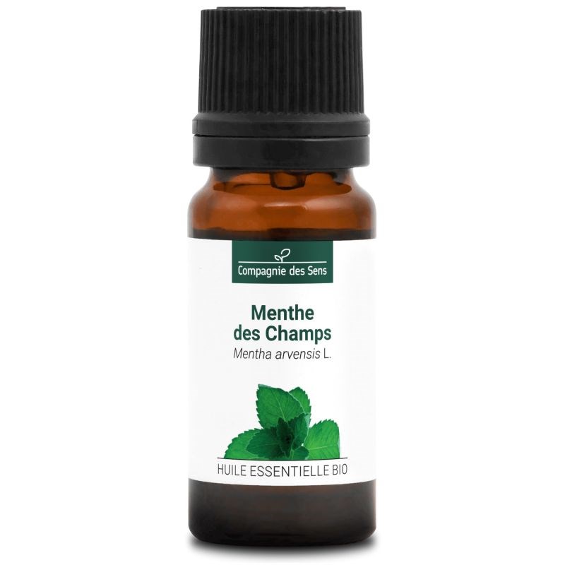 Menthe des champs - huile essentielle bio - 10ml garantie chromacert® - chémotyp