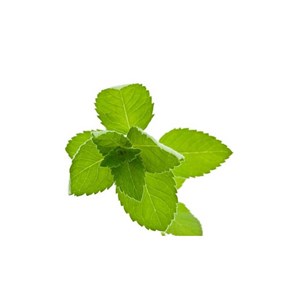 Menthe des champs - huile essentielle bio - 10ml garantie chromacert® - chémotyp