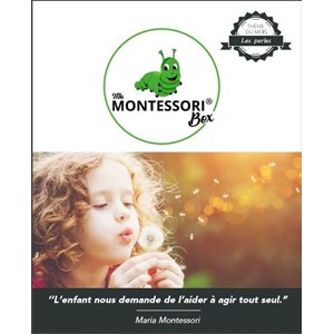 Mamontessoribox perles à compter
