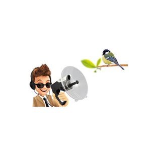 Amplificateur sonore