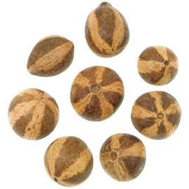 Bellani citrouille - lot de 5